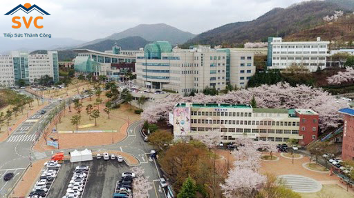 Khuôn viên đại học Daegu Haany